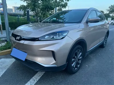 WM Motor EX5