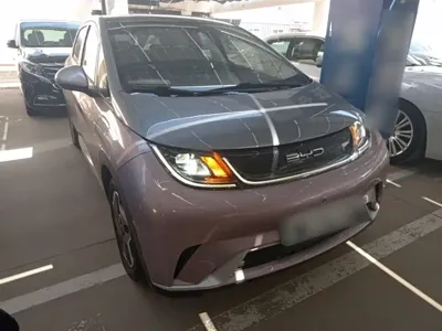 BYD Dolphin