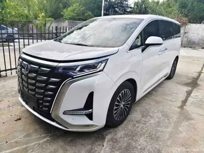 Denza Denza D9