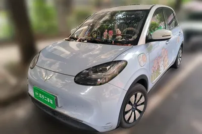 Wuling Bingo