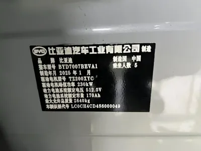BYD L EV