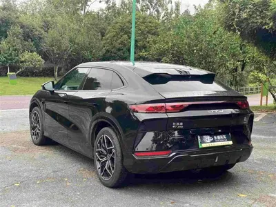 BYD L EV