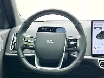 Li Auto Li L7