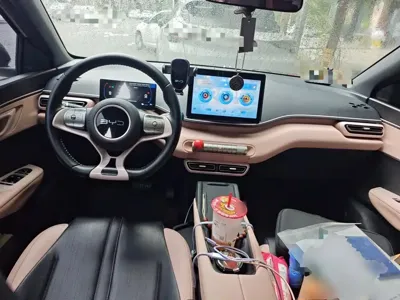 BYD Seagull