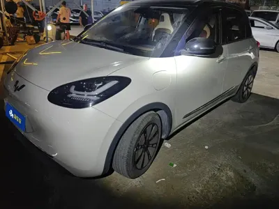 Wuling Bingo