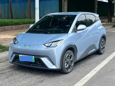 BYD Seagull