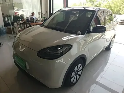 Wuling Bingo