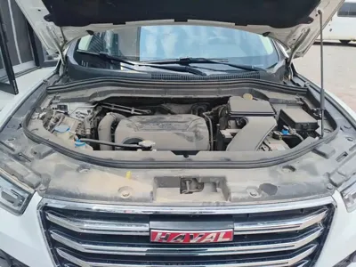 Haval H2s