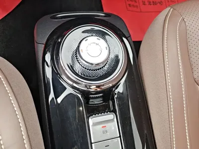 Wuling Bingo