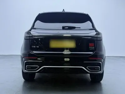 Hongqi Hongqi HS5