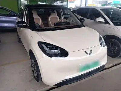Wuling Bingo