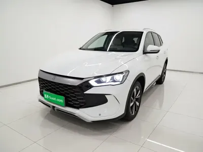 BYD Pro New Energy