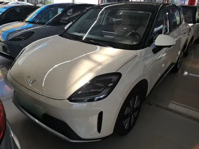 Wuling 缤果S