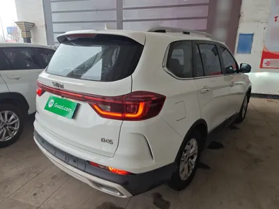 SWM G05