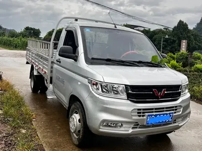 Wuling Rongguang New Truck