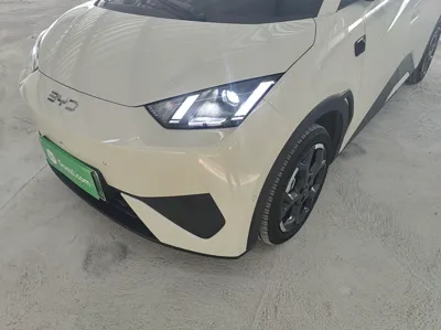 BYD Seagull
