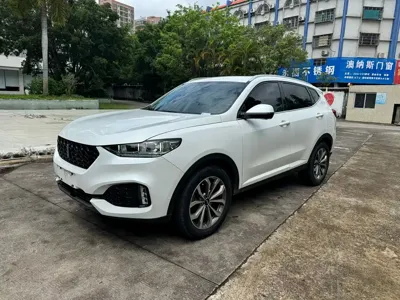 WEY Wey VV6