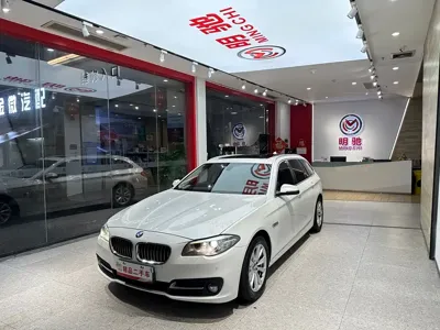 BMW 5 Series (Import)