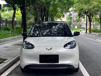 Wuling Bingo