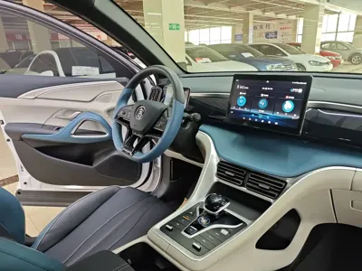 BYD Pro