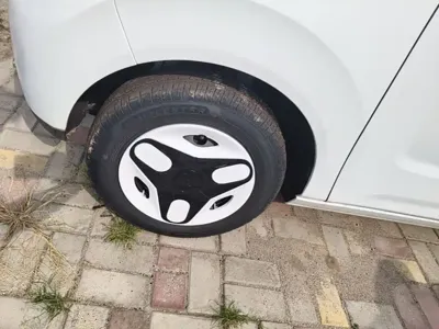 Galaxy Panda