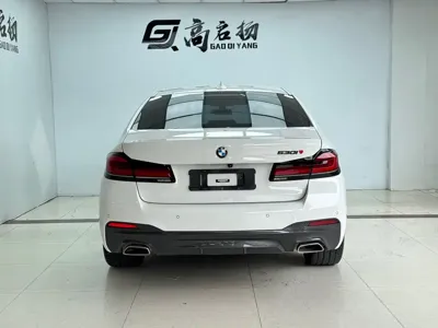 BMW 5 Series (Import)