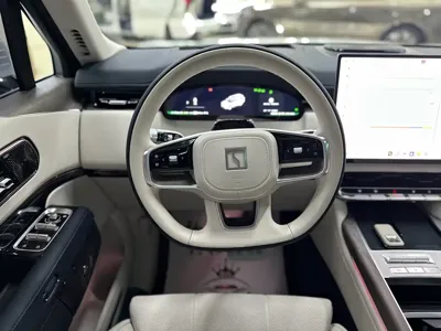 Zeekr 极氪9X