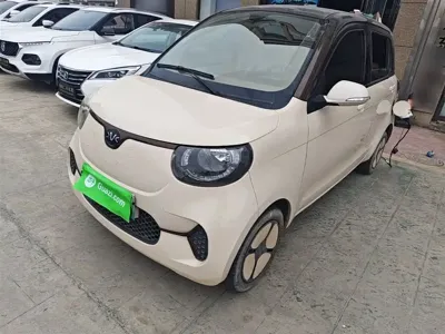 FERRAL EV