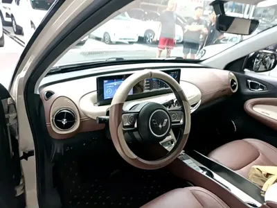 Wuling Bingo