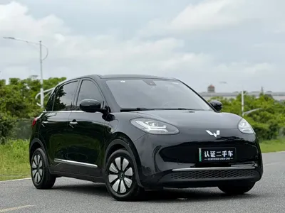 Wuling Bingo