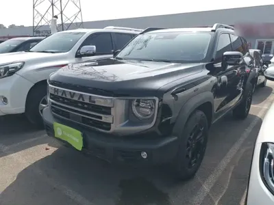 Haval Big Dog