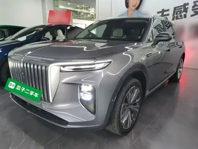 Hongqi Hongqi E-HS9