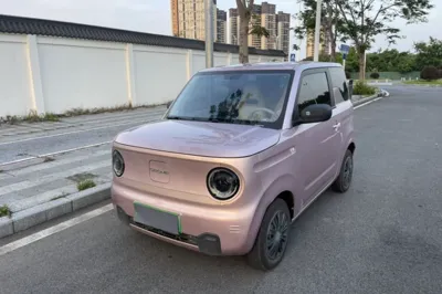 Geely Galaxy Panda