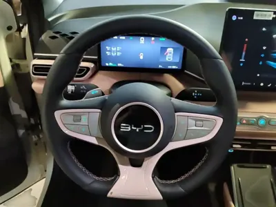 BYD Seagull