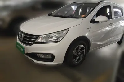 Baojun 310