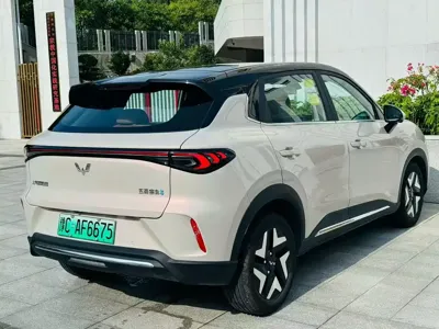 Wuling 缤果S