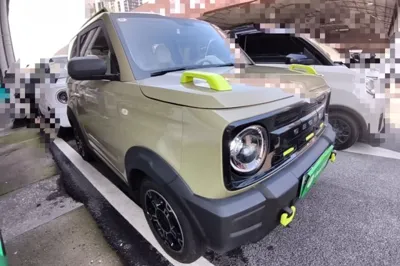 Geely Galaxy Panda