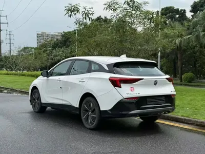 Buick Velite 6