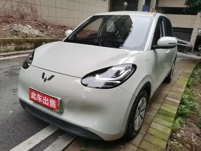 Wuling Bingo