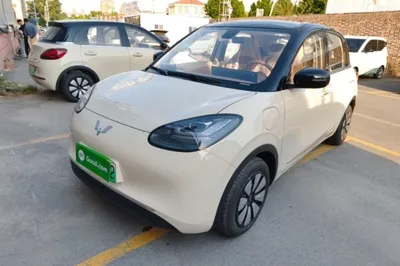 Wuling Bingo