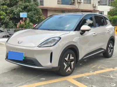 Wuling 缤果S