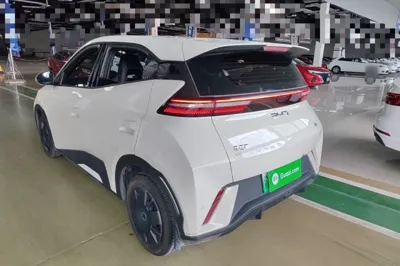 BYD Seagull
