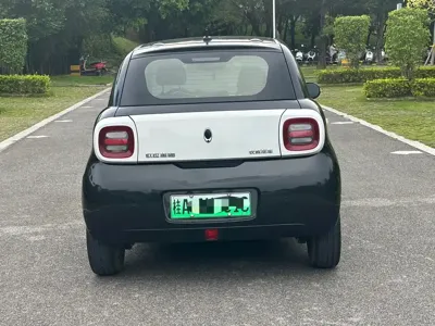 ORA Ora Black Cat