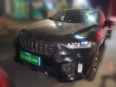 WEY VV7