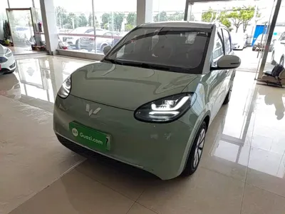 Wuling Bingo