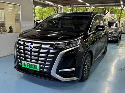 Denza Denza D9