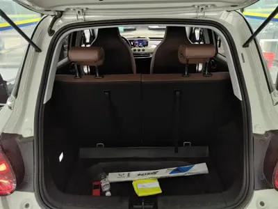 Wuling Bingo