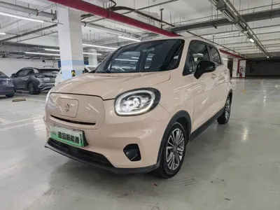 Leapmotor Leapmotor T03