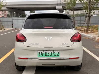 Wuling Bingo