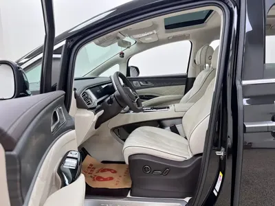 Denza Denza D9